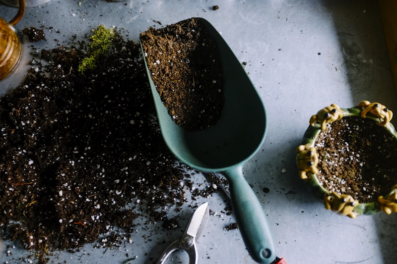 Nurturing Patience: The Joy of Small-Scale Gardening