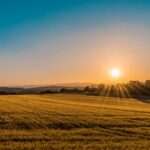 The Scent of Lavender: A Slow Guide to Rural Provence